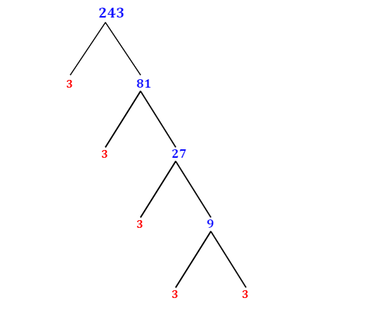 what is the prime factor of 243